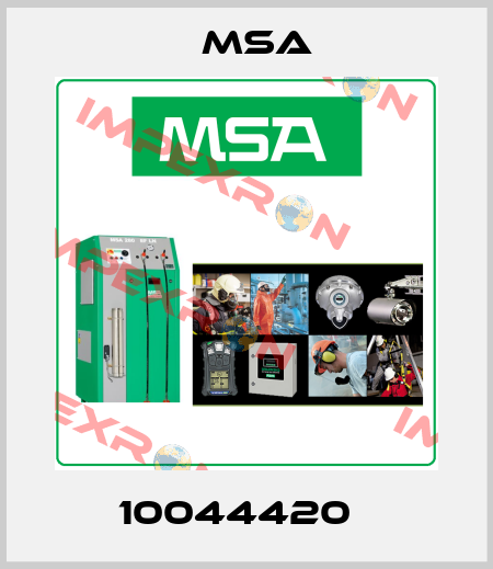 10044420   Msa