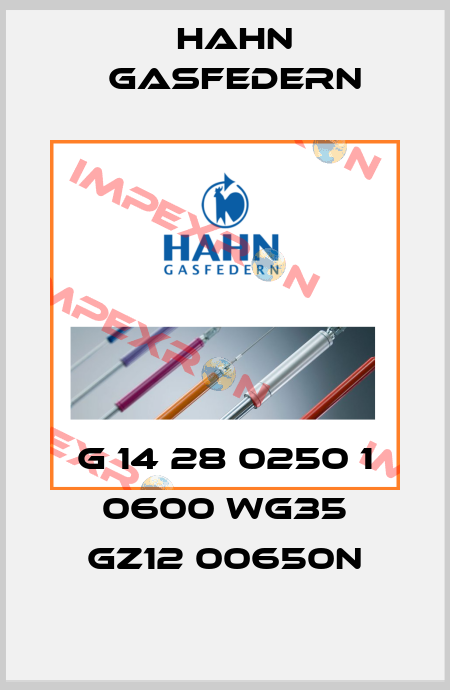 G 14 28 0250 1 0600 WG35 GZ12 00650N Hahn Gasfedern