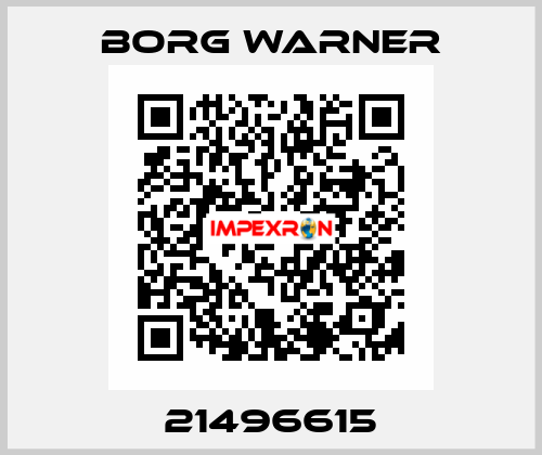 21496615 Borg Warner