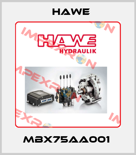 MBX75AA001  Hawe