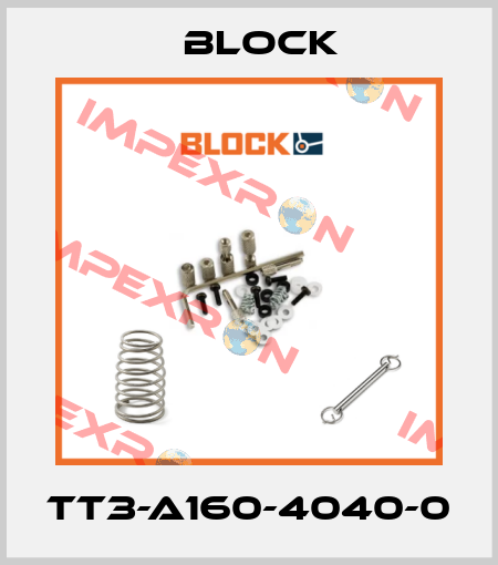 TT3-A160-4040-0 Block