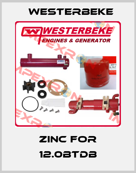 Zinc for 12.0BTDB Westerbeke