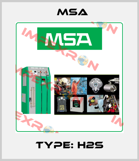 Type: H2S Msa