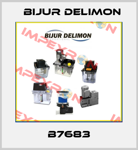 B7683 Bijur Delimon
