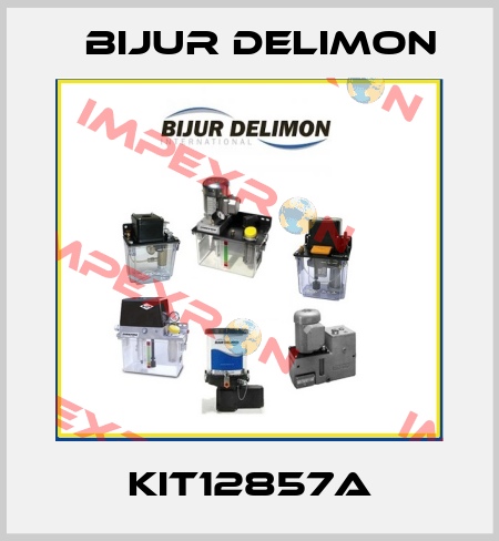 KIT12857A Bijur Delimon