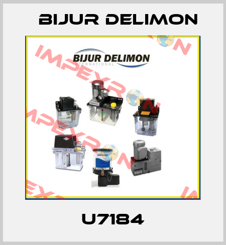 U7184 Bijur Delimon