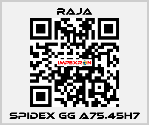 SPIDEX GG A75.45H7 Raja