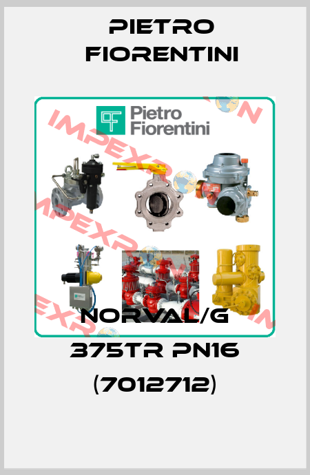 NORVAL/G 375TR PN16 (7012712) Pietro Fiorentini