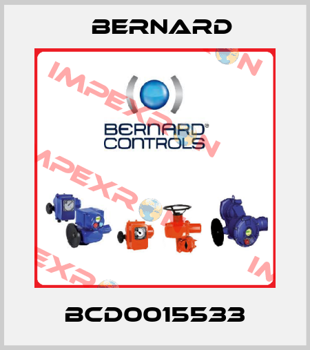BCD0015533 Bernard