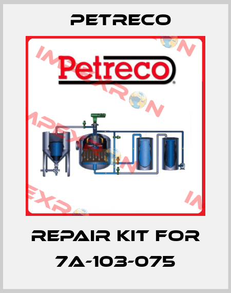 Repair kit for 7A-103-075 PETRECO