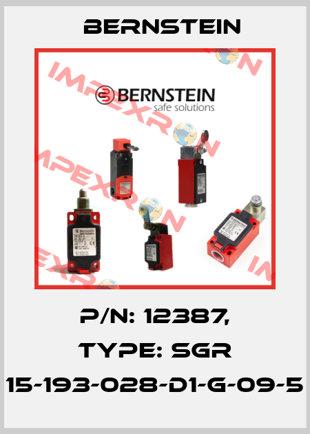 P/N: 12387, Type: SGR 15-193-028-D1-G-09-5 Bernstein