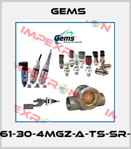 PS61-30-4MGZ-A-TS-SR-RB Gems