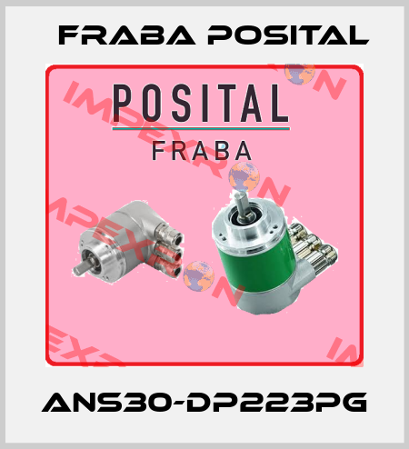 ANS30-DP223PG Fraba Posital