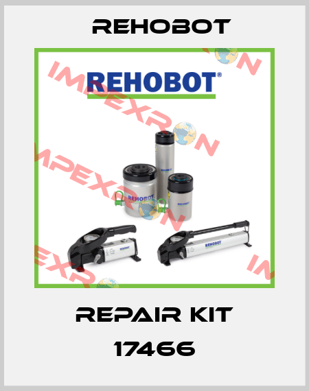 Repair kit 17466 Rehobot