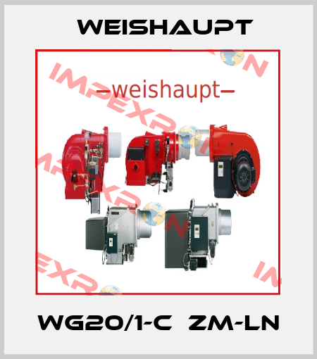 WG20/1-C  ZM-LN Weishaupt