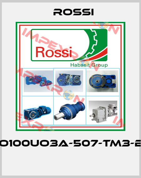 RO100UO3A-507-TM3-B3  Rossi