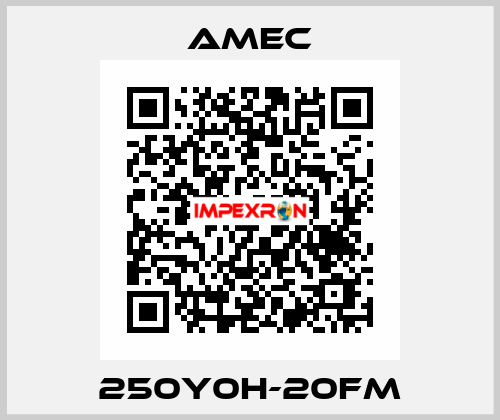 250Y0H-20FM AMEC