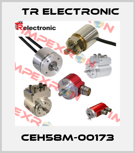 CEH58M-00173 TR Electronic