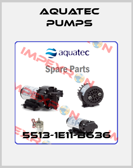 5513-1E11-B636 Aquatec Pumps