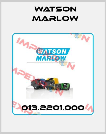 013.2201.000 Watson Marlow