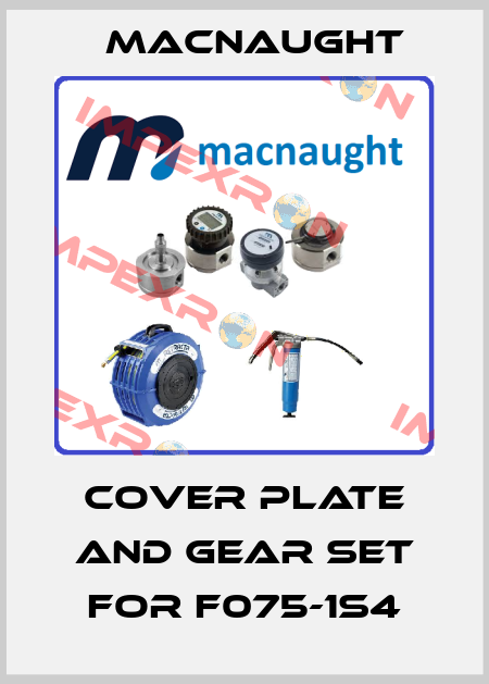 cover plate and gear set for F075-1S4 MACNAUGHT