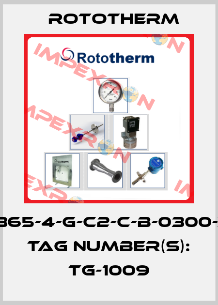 BH365-4-G-C2-C-B-0300-X-R Tag Number(s): TG-1009 Rototherm