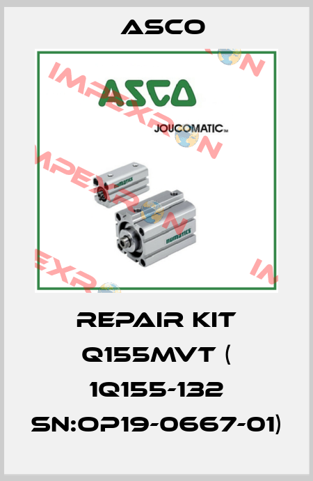 repair kit Q155MVT ( 1Q155-132 SN:OP19-0667-01) Asco