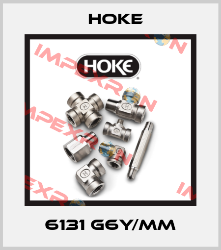 6131 G6Y/MM Hoke