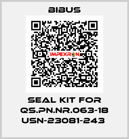 SEAL KIT FOR QS.PN.NR.063-18 USN-23081-243  Bibus