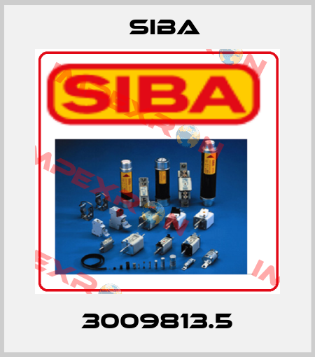 3009813.5 Siba