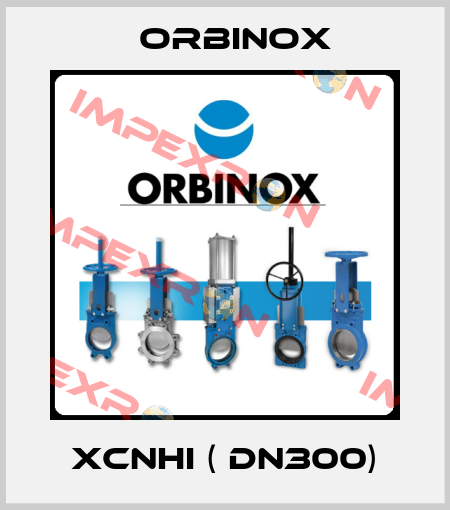 XCNHI ( DN300) Orbinox