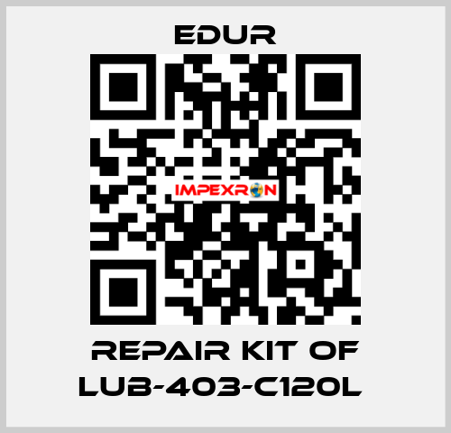 REPAIR KIT OF LUB-403-C120L  Edur