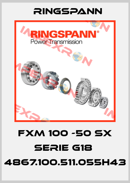 FXM 100 -50 SX Serie G18  4867.100.511.055h43 Ringspann