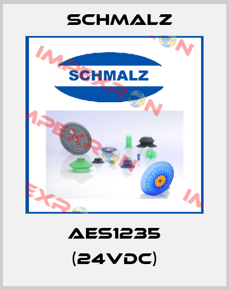 AES1235 (24VDC) Schmalz