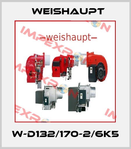 W-D132/170-2/6K5 Weishaupt
