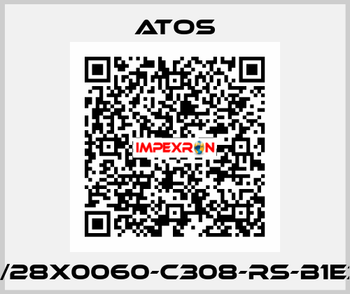CK-40/28X0060-C308-RS-B1E3X1Z3 Atos