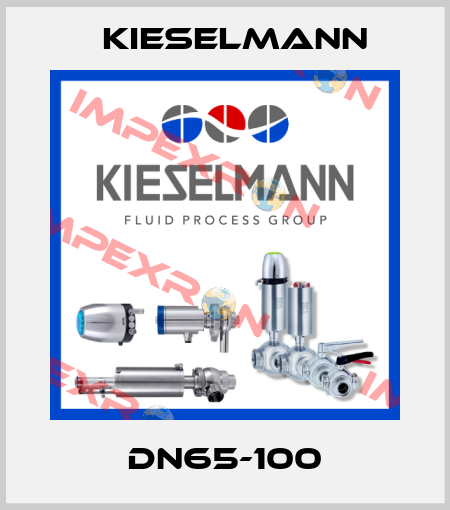 DN65-100 Kieselmann