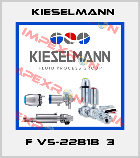 F V5-22818  3 Kieselmann