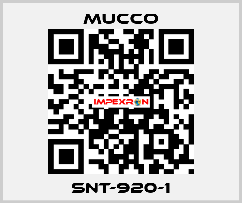 SNT-920-1 mucco