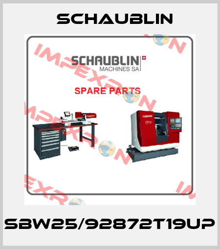 SBW25/92872T19UP Schaublin