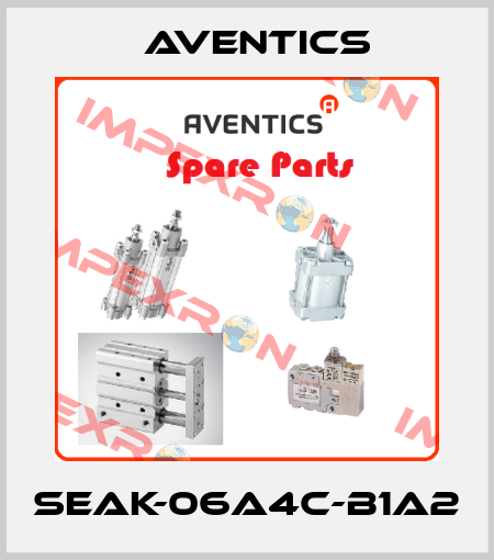 SEAK-06A4C-B1A2 Aventics