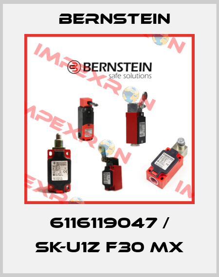 6116119047 / SK-U1Z F30 MX Bernstein