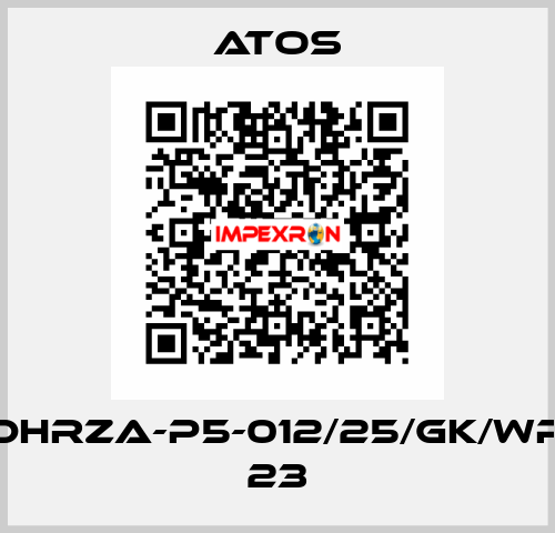 DHRZA-P5-012/25/GK/WP 23 Atos