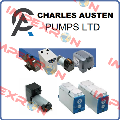 F04-204 Charles Austen Pumps