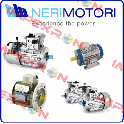 T71B4 / 1370RPM Neri Motori