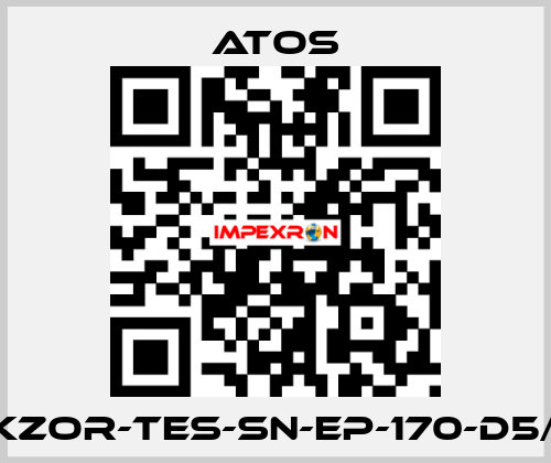 DKZOR-TES-SN-EP-170-D5/FI Atos