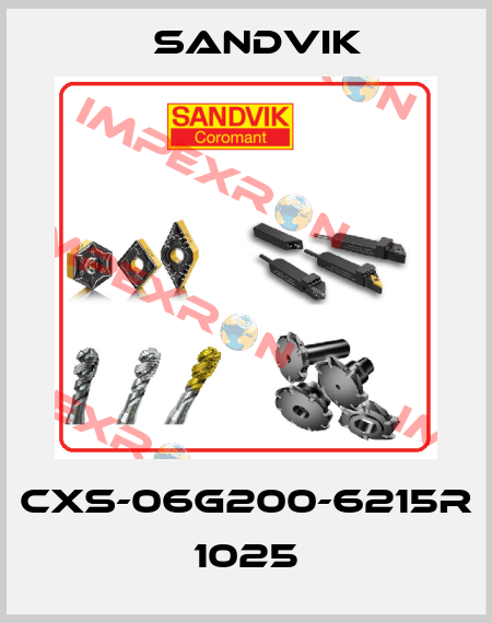 CXS-06G200-6215R 1025 Sandvik