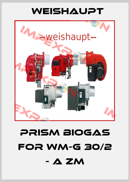 Prism biogas for WM-G 30/2 - A ZM Weishaupt
