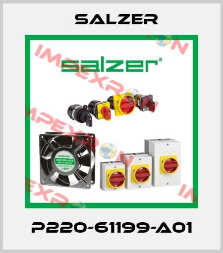 P220-61199-A01 Salzer