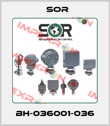BH-036001-036 Sor